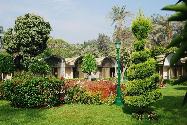 JAZ Pyramids Resort image 3